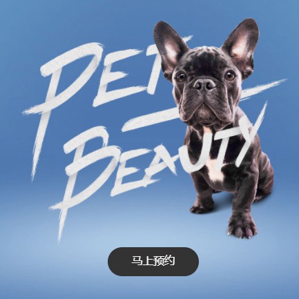 丰满宠物中心小程序开发