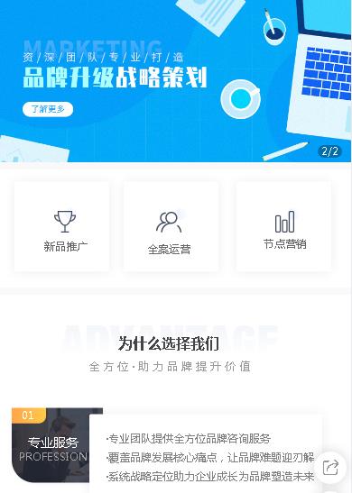 丰满咨询策划小程序开发